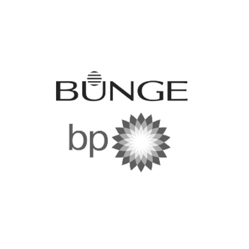 BP BUNGE